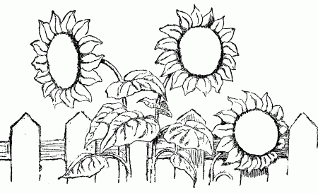 Kids Coloring Pages: October 2011