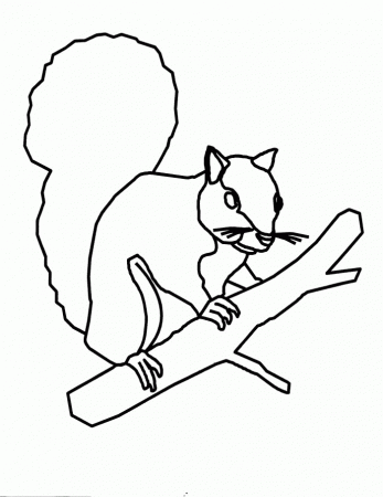 anime squirrel Colouring Pages