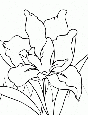 Congratulations To Sheri Biesinger Her Year Old Coloring Page Was 