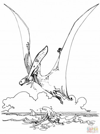 Pteranodon Pterosaur Coloring Online Super Coloring 275862 