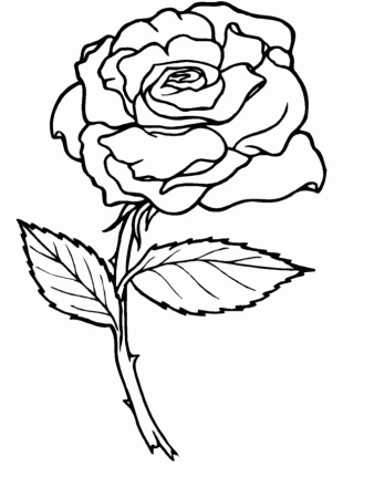 Rose Coloring Pages 11