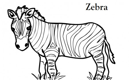 Coloring Page Of Zebras : Printable Coloring Book Sheet Online for 