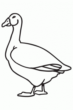 Coloring Goose | animalgals