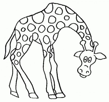 Giraffe Coloring Pages | Coloring Town