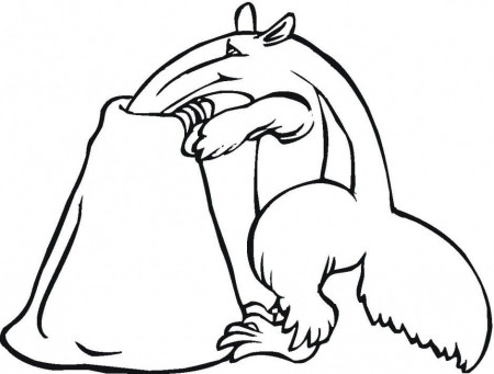 Giant Anteater Looking For Food Coloring Page Id 32838 216680 