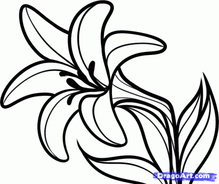 How to Draw an Easter Flower, Easter Lily, Step by Step, Easter 