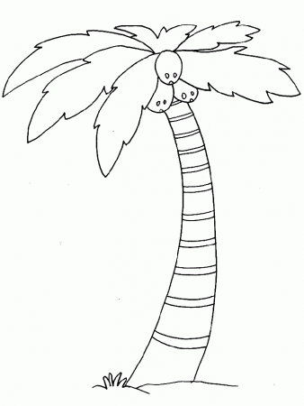Palm Tree Coloring Page | Find the Latest News on Palm Tree 