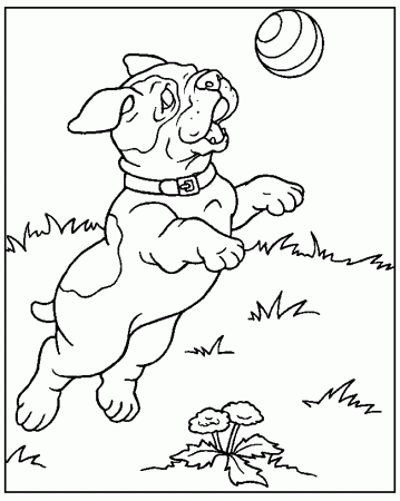 Dog Coloring Pages 70 271122 High Definition Wallpapers| wallalay.