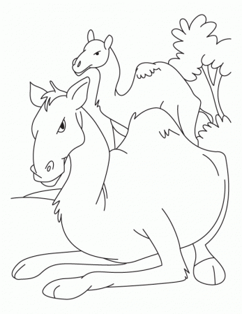 animals and their young Colouring Pages