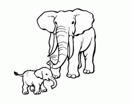 Colour Drawing Free Wallpaper: Elephant Mom Baby Coloring Drawing 