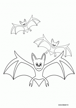 Bat Coloring | Other | Kids Coloring Pages Printable