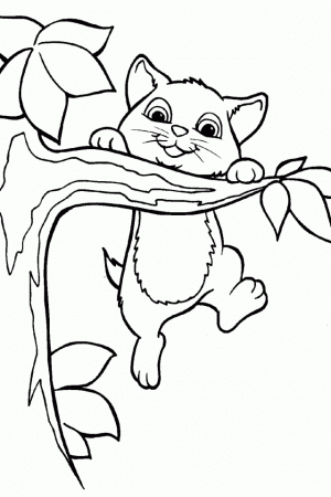 Cute Cat Coloring Pages | download free printable coloring pages