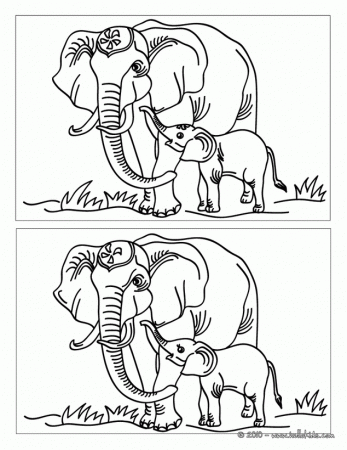 ANIMAL difference games - ELEPHANT find the 12 differences
