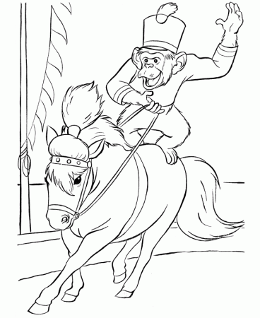 Circus Horse Coloring Pages | Printable performing Circus Horses 