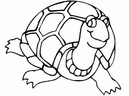 Animal Coloring Pages: Turtle coloring pages