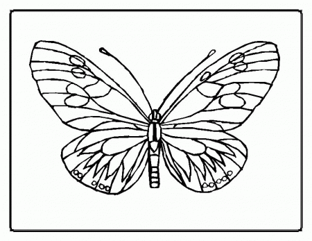 Butterflies Coloring Pages Online - Kids Colouring Pages