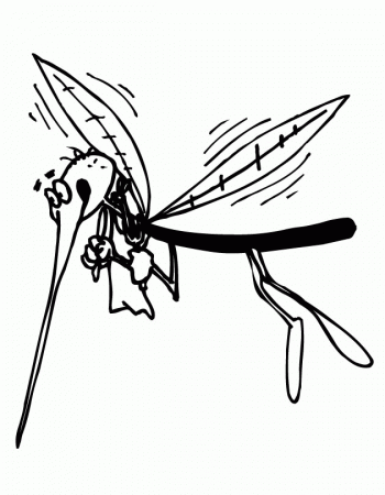 Printable Mosquito coloring page from FreshColoring.