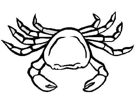 Crab Coloring Pages | 101ColoringPages.