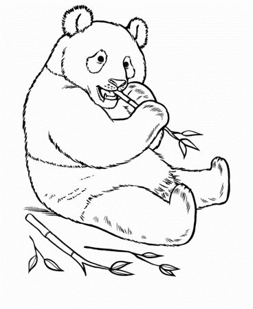Panda Coloring Pages For Kids