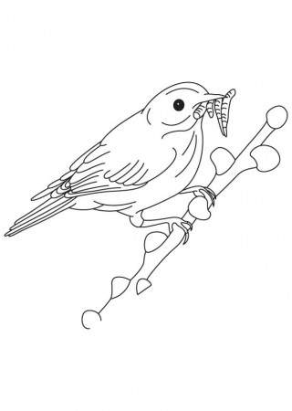 Insects in the beak coloring page | Download Free Insects in the 