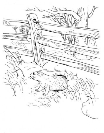 Pictures Groundhog In Garden Coloring Pages - Event Coloring Pages 