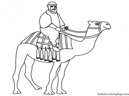 Camel Coloring Page Free Coloring Pages For Kids 279986 Camel 