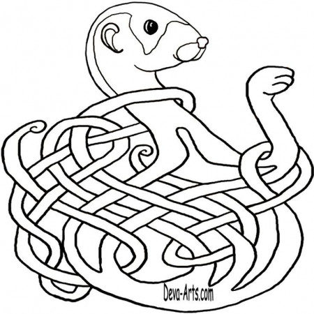 Celtic knotwork ferret outline | celtique
