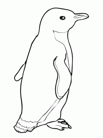 Penguin Coloring Pages Printable Penguin Coloring Pages 254926 
