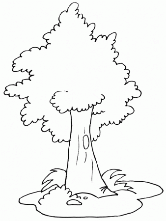 of a tree Colouring Pages