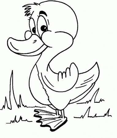 p art of a duck Colouring Pages