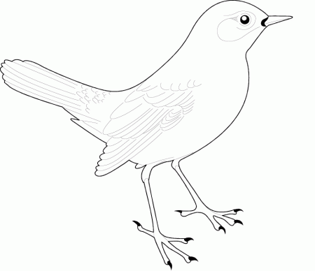 Free Coloring Pages For Kids: Coloring birds (part 3)