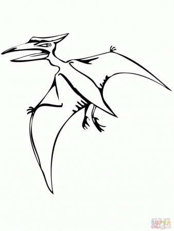 Pteranodon Flying Reptile Coloring Page Printable Coloring Pages 
