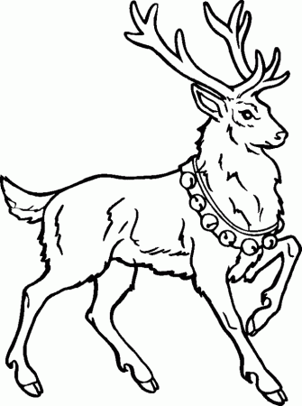 Coloring Pages Of Reindeer - Free Printable Coloring Pages | Free 