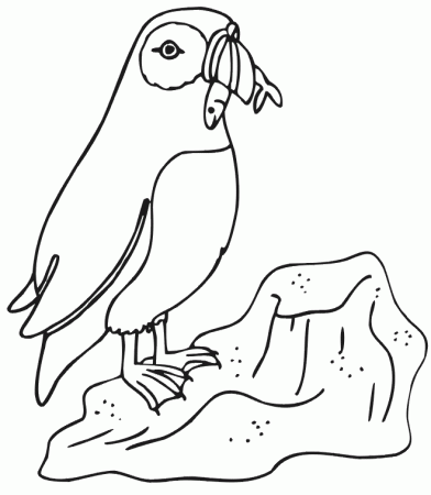 Penguin Coloring Page | Penguin With Fish