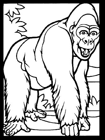 Gorilla2 Animals Coloring Pages & Coloring Book