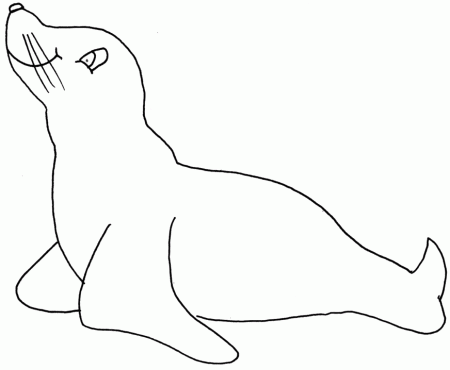 Ocean Seal6 Animals Coloring Pages & Coloring Book