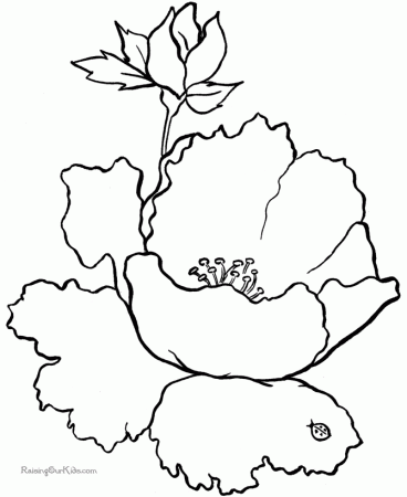 Free flower coloring sheets 018