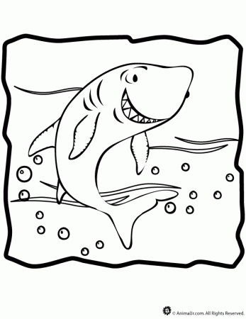 coloring pages sharks image search results