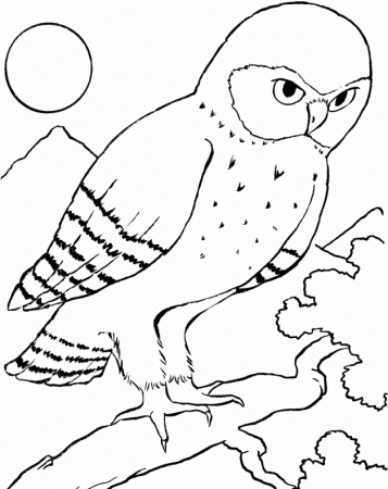 CHILD in the night Colouring Pages