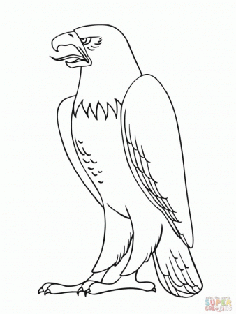 Coloring Pages Eagle HD Wallpaper Beraplan 177572 Coloring Pages 