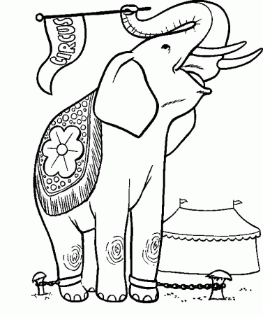 Coloring Page - Elephant coloring pages 6