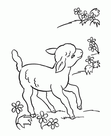 BlueBonkers: Free Printable Easter Lamb Coloring Page Sheets - 2 