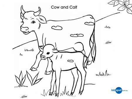 dairy cows coloring pages : Printable Coloring Sheet ~ Anbu 