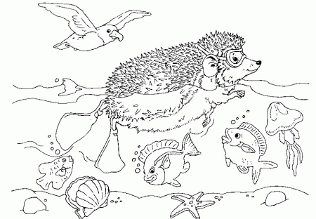 Hedgie In The Ocean Coloring Page