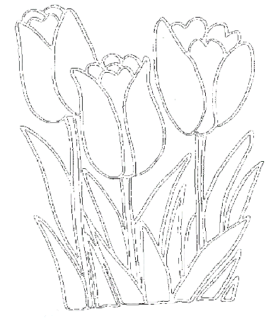 Print Flower Coloring Pages Tulip or Download Flower Coloring 