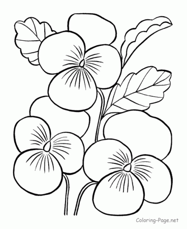 Flower coloring pages - More Flowers to print and color
