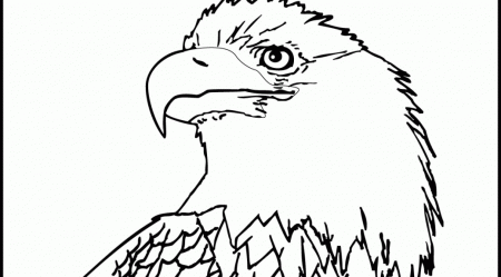 eagle head Colouring Pages (page 2)