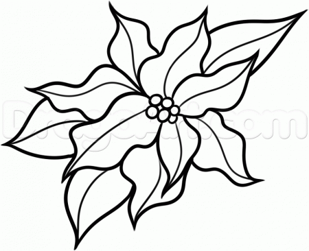 How to Draw a Christmas Flower, Step by Step, Christmas Stuff 