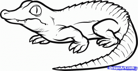 Crocodile Drawing | Clipart Panda - Free Clipart Images