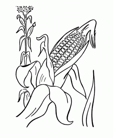Ear of corn Colouring Pages (page 2)